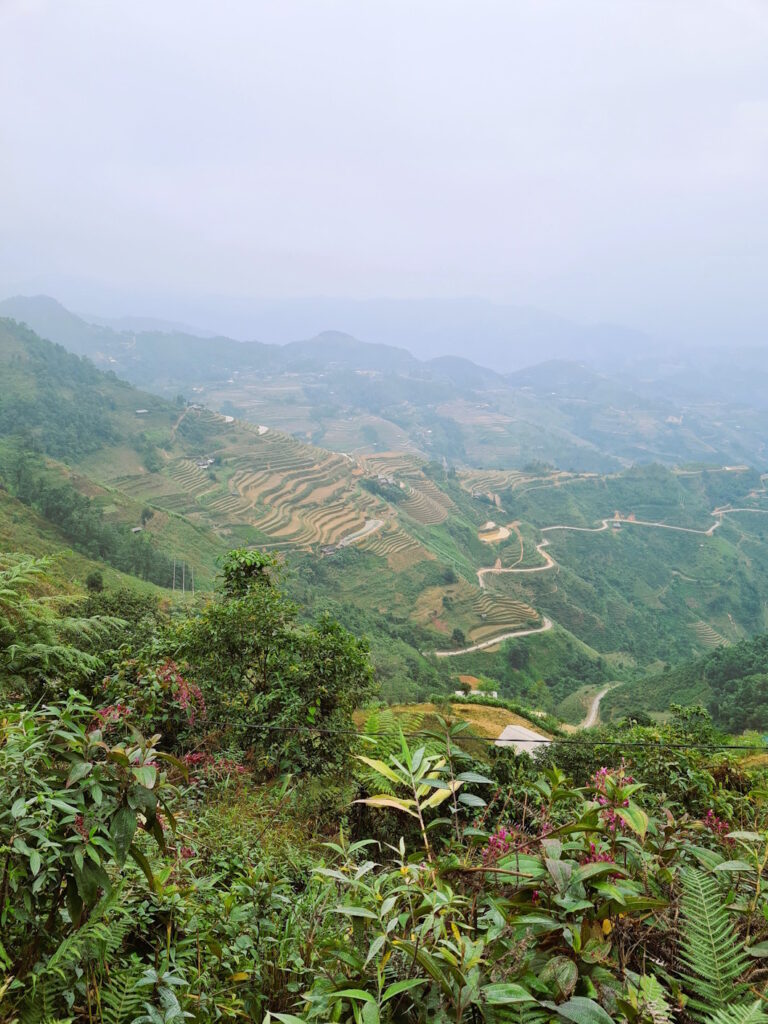 Reisterassen auf dem Ha Giang Loop in Vietnam